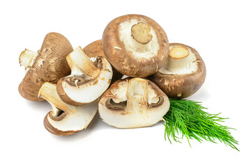 Champignon.Royal mushroom champignons, close-up, isolated on a white background.