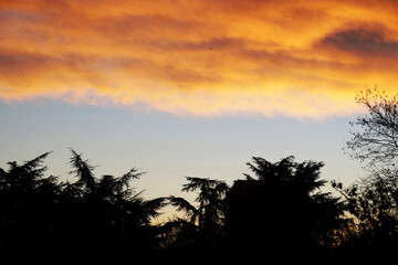 Obraz premium silhouette of trees against a background of heavy orange sunset clouds