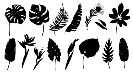 Set of black silhouettes of tropical leaves, palms, plants, flowers, banana plants, monstera. Botanical exotic plants elements. Hand drawn illustration isolated on white background