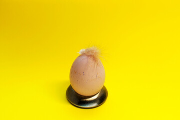 Fresh beige spotted chicken egg with a feather on a bright yellow background with copy space. Easter