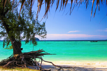 Fototapeta premium View beyond palm tree leaves on turquoise water horizon with crooked tree root, white empty tropical sand beach - Ko Lipe, Thailand