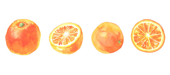 水彩で描いたオレンジのイラスト