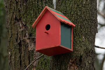 A house for the birds. Selective focus.