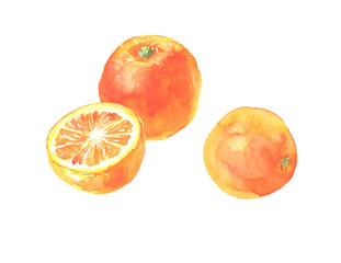 水彩で描いたオレンジのイラスト