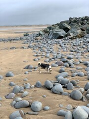 Windy walk Wednesday Wales, UK
