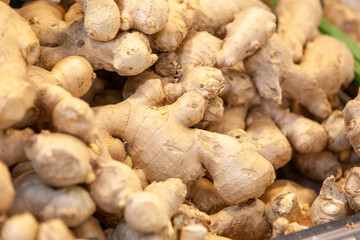 frischer Ingwer