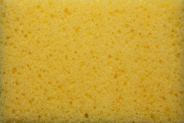 close-up on clean yellow sponge, Sponge texture background