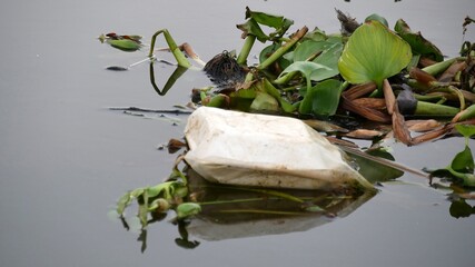 Water pollution - Plastic and foam garbage floating with water hyacinth weed on surface of the...