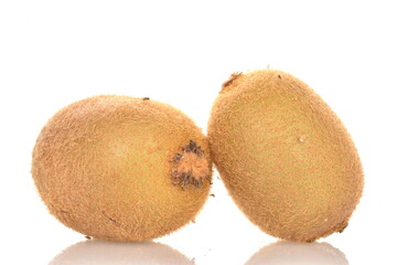 Fototapeta premium Two fresh organic kiwi fruits, close-up, isolated on white.