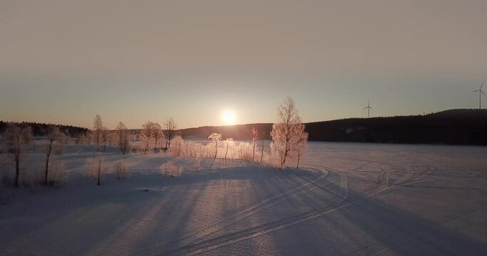 AERIAL, Stunning backlit frozen trees on a frozen lake in Sweden