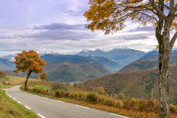 Autumn forest of the Pyrenees mountains during sunset
