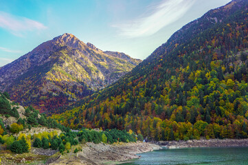 Autumn forest of the Pyrenees mountains
