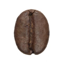 Naklejka premium Coffee bean