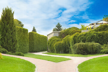 Fototapeta premium Choosing way. Brick path in garden on sunny day