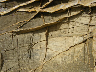 pietra di colore beige di aspetto particolare