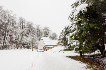 Arlesheim, Ermitage, Wanderweg, See, Winter, Schnee, Schneedecke, Seeufer, Schilf, Winterwanderung, Wald, Eis, Eisfläche, Baselland, Schweiz
