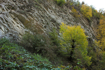 Beautiful autumn forest and rocks.