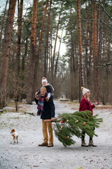 family carries a tree