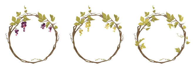 Grapevine - vector illustration. Design elements with a twisting vine with leaves and berries. Freehand drawing in watercolor style. Round frame with vine. © imagination13