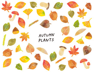 カジュアルなタッチ　秋の落ち葉やキノコのイラストセット
