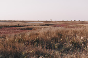 The most beautiful landscape in the reserve on a clear day on the island