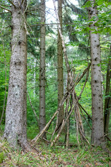 Cabane d'enfants dans la forêt