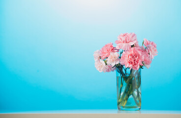 Carnation flowers on blue background