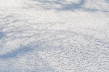 Obraz premium Freshly fallen snow outdoors in nature.