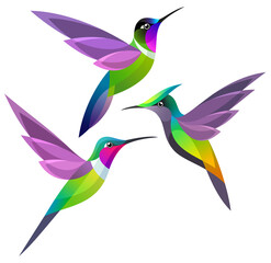 Stylized Hummingbirds in flight
