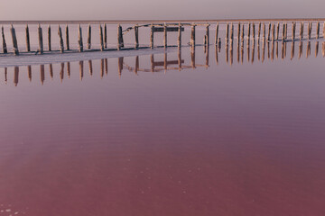 Beautiful landscape on a salty pink lake