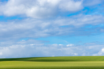 Champs verts et ciel