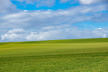 Paysage de campagne, champ vert et ciel bleu