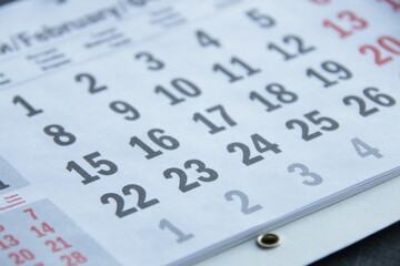 February.Calendar sheet, vintage style.