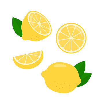 Lemon. Collection of whole and sliced lemon fruits. Vector illustration.