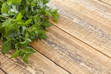 Fresh green mint on old wooden boards.