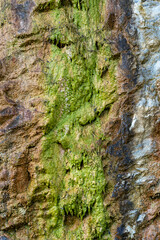 Stone texture background