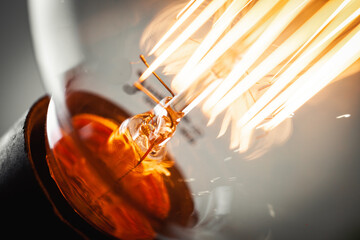 incandescent light bulb with tungsten filaments. Save the energy. Macro shot.