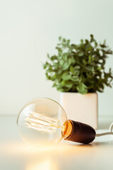 incandescent light bulb with tungsten filaments. Save the energy