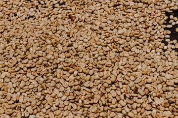 coffee brack
coffe shop
toasted coffee
coffee beans