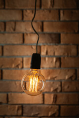 incandescent light bulb with tungsten filaments on red brick wall background. Save the energy