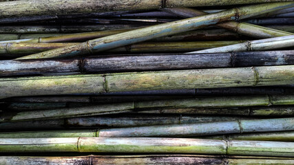 Wall of bamboo