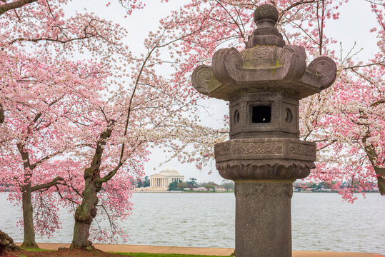 The Japanese Lantern at West Potomac Park around the Tidal Basin