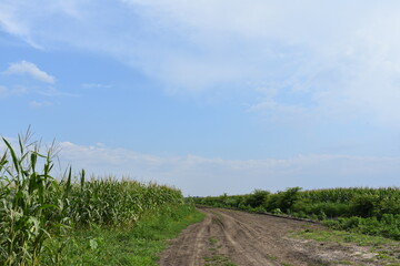 road to the sky