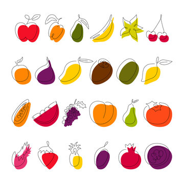 Fruit continuous line drawing collection isolated on white. Simple single outline sketch and color block. Food vegan design elements. Vector minimalistic flat contour illustration made of one line