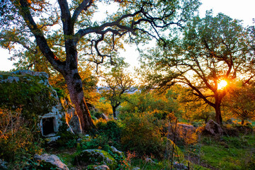 Domus de Janas del Parco Su Motti, Orroli, Sud Sardegna