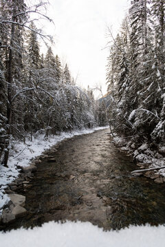 Winter View Of Robson River Within Robson Provincial Park, Canada