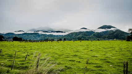 fog mountains