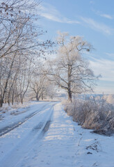 Fototapeta na wymiar Country Road Among Frosted Trees. Winter forest on a sunny day. road covered with snow