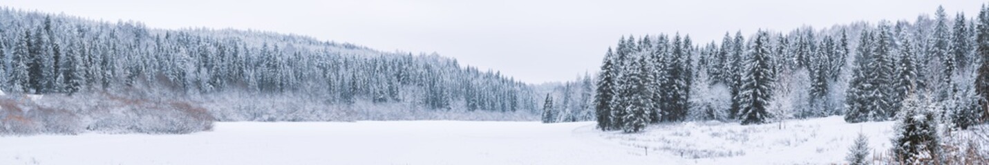 Naklejka premium Snow-covered meadows and forest in the valley of the Stone Hill park on a frosty winter day. Beautiful landscape with conifer forest on snowy cloudy day. Frozen nature in fantastic white forest.