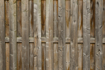 Naklejka na ściany i meble Wood grain texture background close up